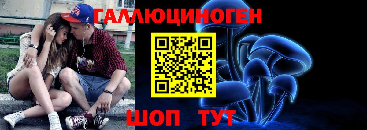 Псилоцибиновые грибы мухоморы Абакан
