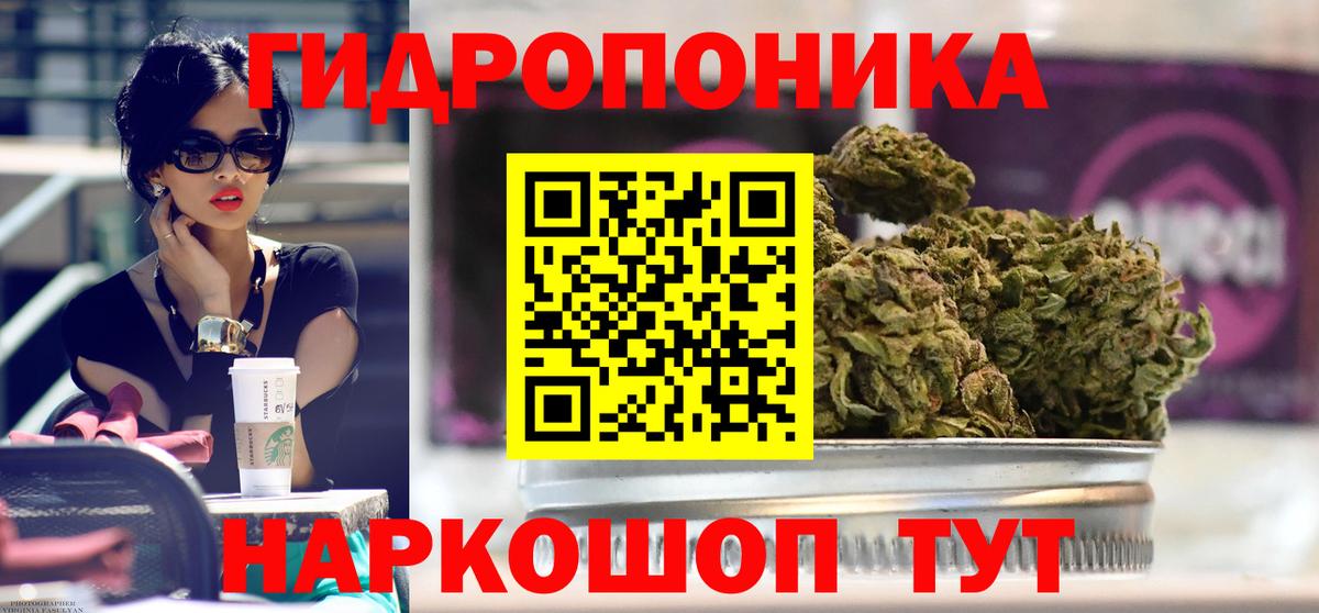 Каннабис Bruce Banner Абакан